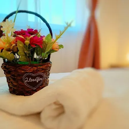 Apartment Beautiful Panoramic - Of Mara Timisoara