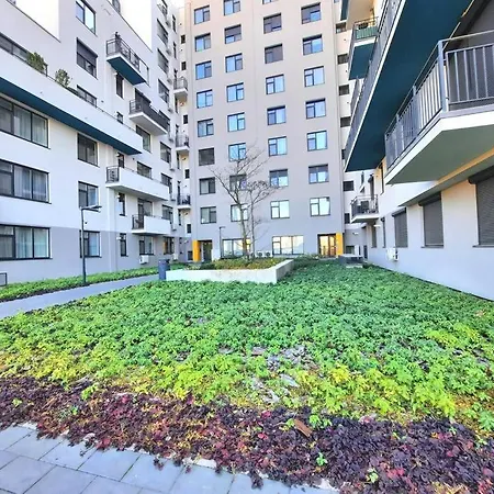 Beautiful Panoramic - Of Mara Apartament *
